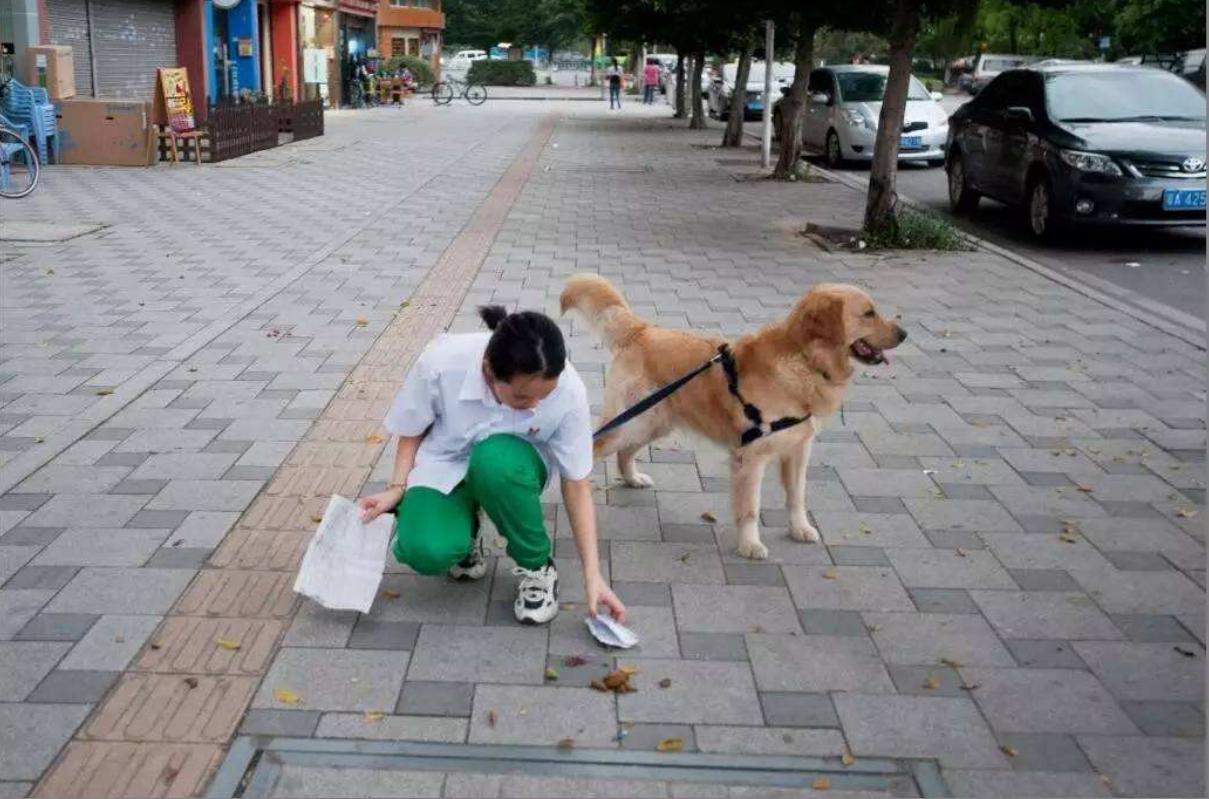 郑州一社区全面禁止养狗引质疑，大家争议的焦点是什么？