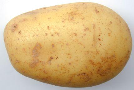每100克土豆的营养成分有哪些？