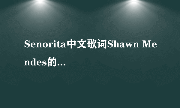 Senorita中文歌词Shawn Mendes的，音译有没有？求，谢谢了